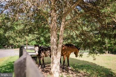 67 Cedar Mountain Ln, Front Royal, VA 22630 - photo 7