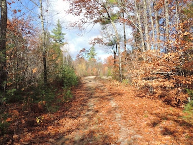 140 Chickville Rd, Ossipee, NH 03864 - photo 5