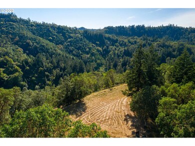 1393 Old Pioneer Rd, Oakland, OR 97462 - photo 5