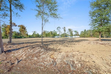 1731 Marlin Rd, Lake Charles, LA 70611 - photo 2