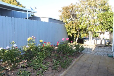 Patio Garden