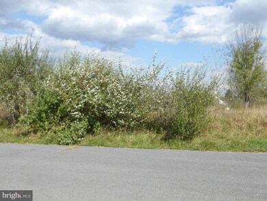 4 Sassafras Ln, Wardensville, WV 26851 - photo 4