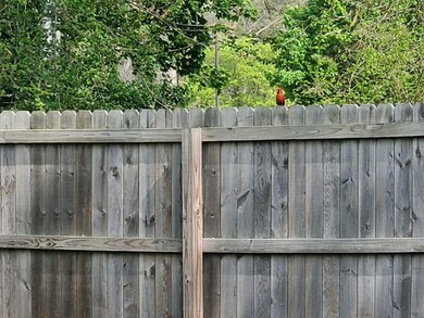 Check out the new neighbors