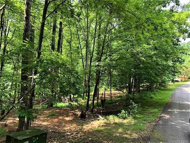 37 Wolf River Ln unit 37, Lake Lure, NC 28746 - photo 2