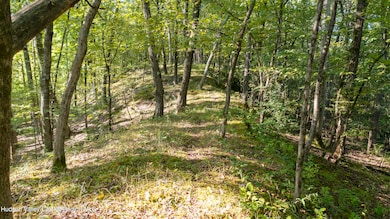 161 Roundtop Rd, Germantown, NY 12526 - photo 7