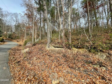 Lot 37R Sugar Mountain Way, Pigeon Forge, TN 37863 - photo 5