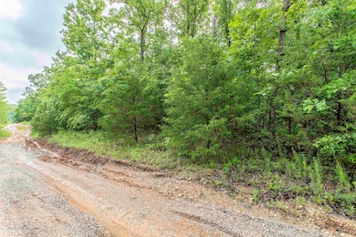 00 Red Fox Rd, Hardy, AR 72542 - photo 3