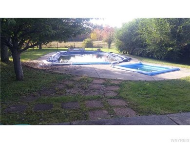 Pool In Ground