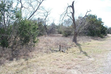 44073 Thistle Dr, Whitney, TX 76692 - photo 5