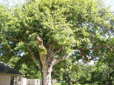 2816 Old Richmond Rd, Rosenberg, TX 77471 - photo 6