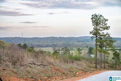 4947 U S 231 unit 3, Vincent, AL 35178 - photo 5