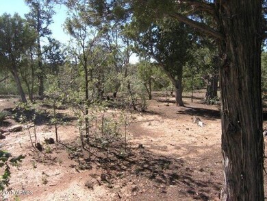 Sierra Pines (6)