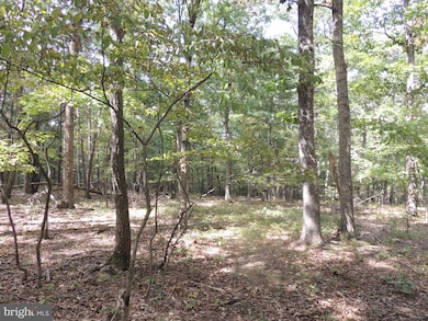 0 Hunting Ridge Rd unit VAFV153122, Winchester, VA 22603 - photo 6