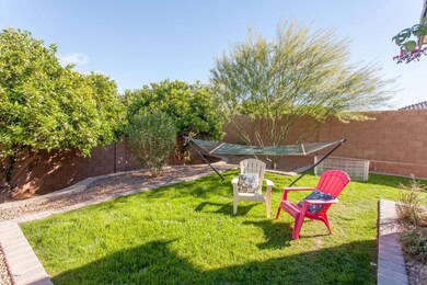 Grass in Backyard