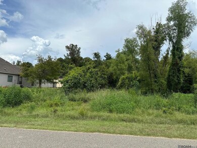 15898 Cypress Point Ln, French Settlement, LA 70733 - photo 4