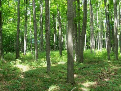Other. Typical of woods.