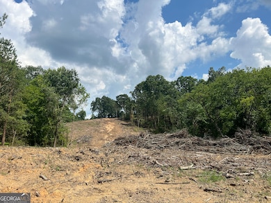 2055 Blacks Bluff Rd SW, Rome, GA 30161 - photo 3