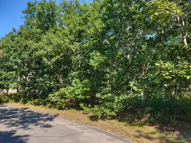 39 Meshaket Way, Oak Bluffs, MA 02557 - photo 4