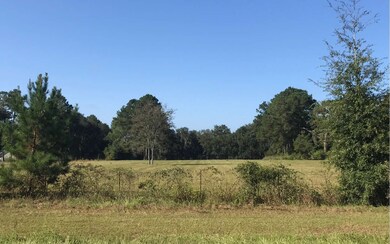 5976 Lake Jeffrey Rd, Lake City, FL 32055 - photo 2