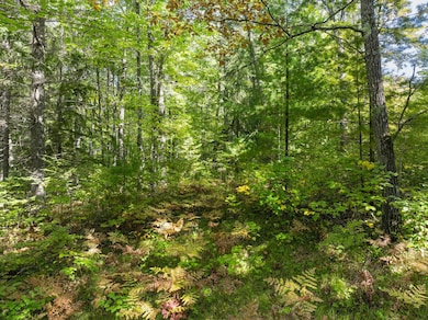 Lot 1 Lake Yawkey Dr, Hazelhurst, WI 54531 - photo 7