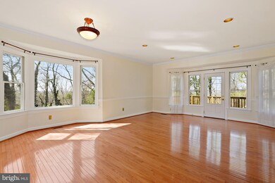 3652 Ransom Place, Alexandria, VA 22306 - photo 7