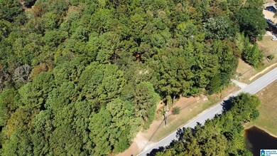 1681 Highway 93, Helena, AL 35080 - photo 5