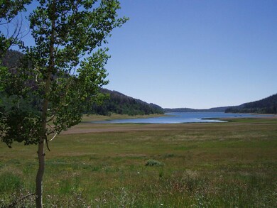 Navajo Lake1