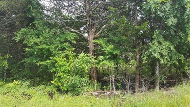 Lot 74 Riner Rd, Pottsboro, TX 75076 - photo 7