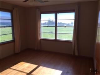 16410 Highway 36, Needville, TX 77461 - photo 2