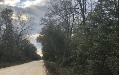 LOTS 27 &28 288th Terrace, Branford, FL 32008 - photo 4