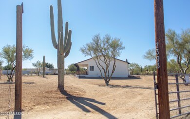 2023 Walter Drive Listing-0609