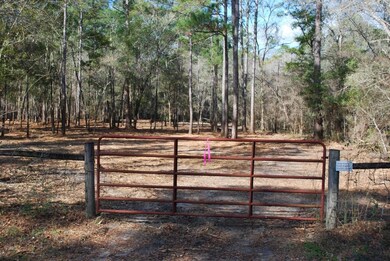 979 Lawhon Mill Rd, Crawfordville, FL 32327 - photo 2