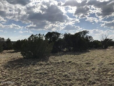 005_Nicely Treed