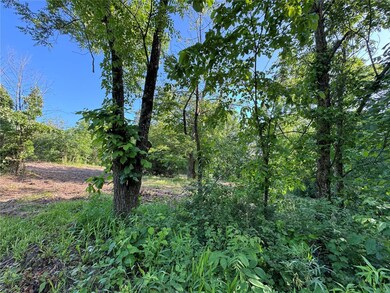 0 Conway Rd unit MAR24032740, Dixon, MO 65459 - photo 2