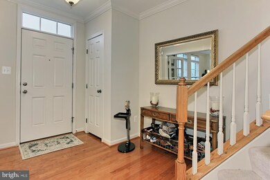42969 Edgewater St, Chantilly, VA 20152 - photo 7