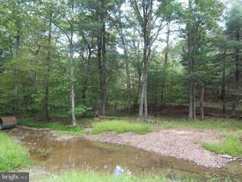 0 Circling Hawk Ln unit 1004498508, Berkeley Springs, WV 25411 - photo 3