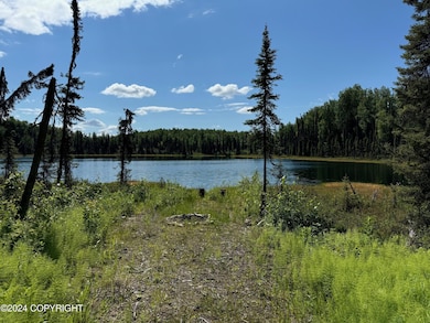 B005 Private Rd, Willow, AK 99688 - photo 2