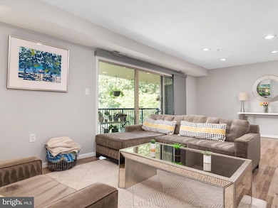 1006 Primrose Rd unit 302, Annapolis, MD 21403 - photo 5