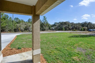 14 Fisher Way Trace, Ocklawaha, FL 32179 - photo 6