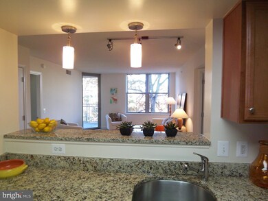 Carlton House @ Reston Town Center unit 608, Reston, VA 20190 - photo 5