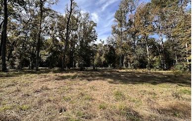 Nice  cleared in the center ready to build!