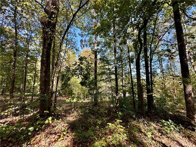 216 W Halfway Branch Rd, Walhalla, SC 29691 - photo 4