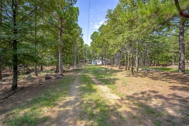 11820 E Farmer Rd, Stringtown, OK 74569 - photo 3