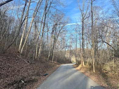 Lot 1 Radford Rd, East Bernstadt, KY 40729 - photo 7