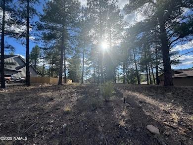 938 Torrey Pines Dr, Williams, AZ 86046 - photo 3