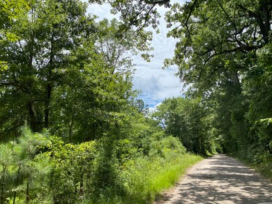 0 Mill Creek Rd unit 7001759, Huntington, TX 75949 - photo 4