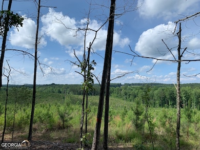 45+/- AC Noles Rd, Franklin, GA 30217 - photo 2