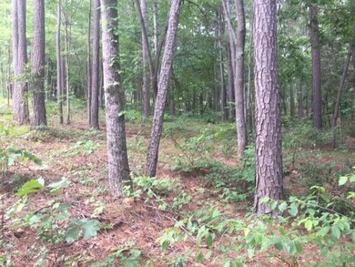 Lot 84 Peninsula Pointe, West Union, SC 29696 - photo 5