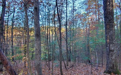 Additional View