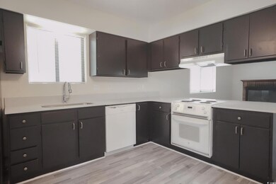 Kitchen featuring dark brown cabinets, fume extrac